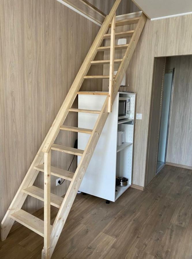 Duplex Atypique En Bois Entre Ville Et Verdures Ла Шапел-Сен-Месмин Екстериор снимка
